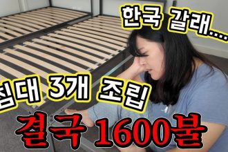 1771664410 maxresdefault infoshare - nz immigration news / 뉴질랜드 이민정보