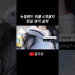 1771747809 maxresdefault infoshare - nz immigration news / 뉴질랜드 이민정보