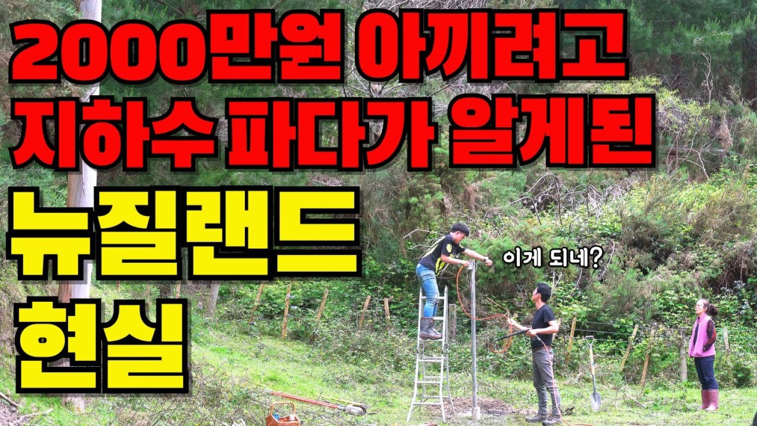 1771756808 maxresdefault infoshare - nz immigration news / 뉴질랜드 이민정보