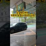 1771765210 maxresdefault infoshare - nz immigration news / 뉴질랜드 이민정보