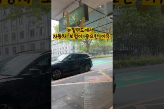 1771765210 maxresdefault infoshare - nz immigration news / 뉴질랜드 이민정보