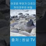 1772033410 maxresdefault infoshare - nz immigration news / 뉴질랜드 이민정보