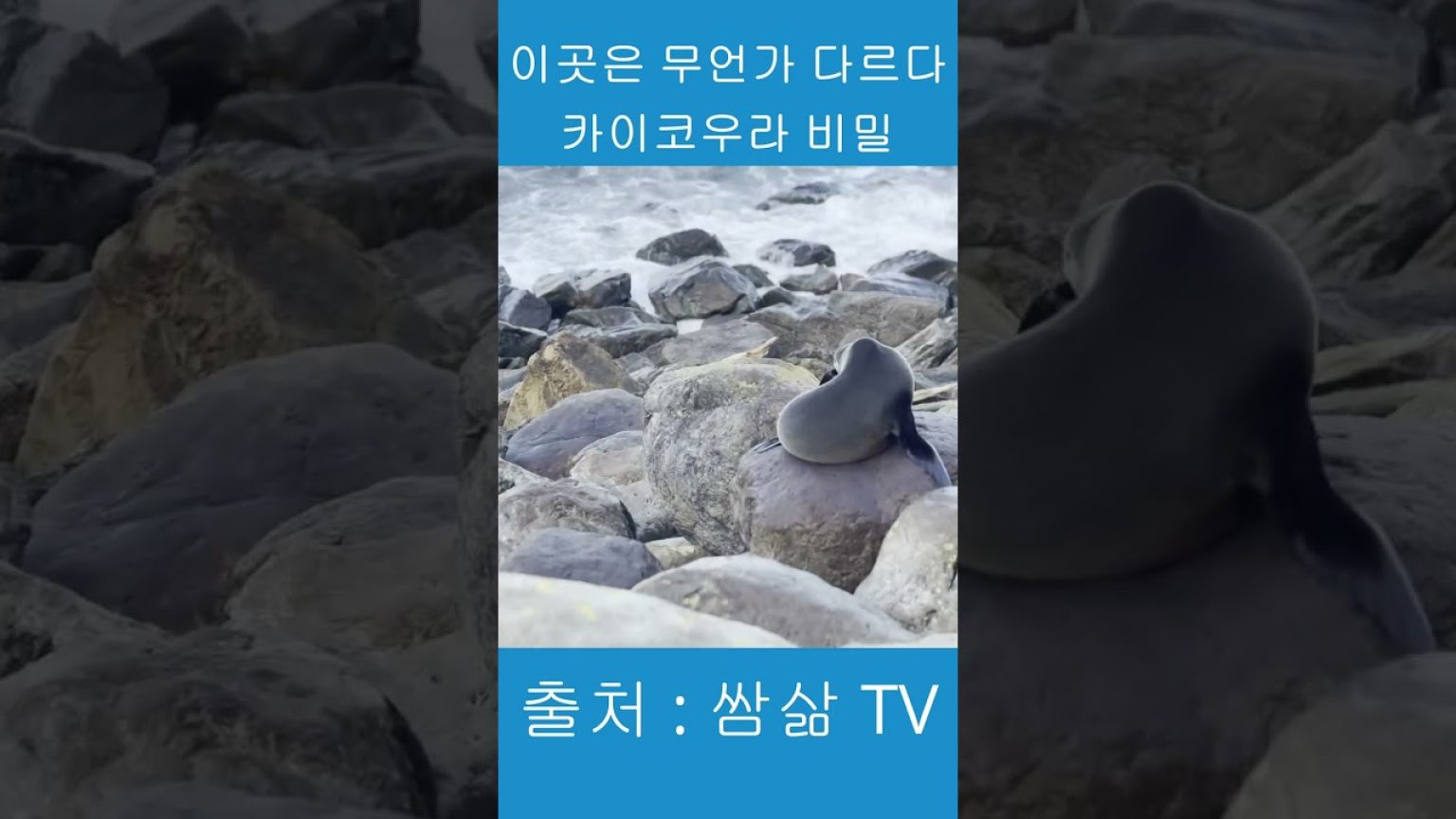 1772033410 maxresdefault infoshare - nz immigration news / 뉴질랜드 이민정보