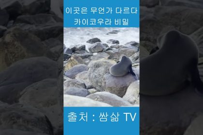 1772033410 maxresdefault infoshare - nz immigration news / 뉴질랜드 이민정보