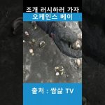 1772035809 maxresdefault infoshare - nz immigration news / 뉴질랜드 이민정보