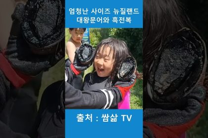 1772037011 maxresdefault infoshare - nz immigration news / 뉴질랜드 이민정보