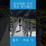 1772039410 maxresdefault infoshare - nz immigration news / 뉴질랜드 이민정보