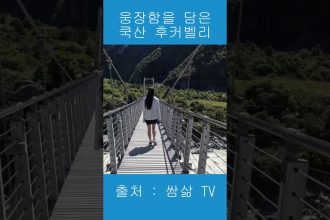 1772039410 maxresdefault infoshare - nz immigration news / 뉴질랜드 이민정보