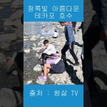 1772040610 maxresdefault infoshare - nz immigration news / 뉴질랜드 이민정보