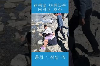 1772040610 maxresdefault infoshare - nz immigration news / 뉴질랜드 이민정보