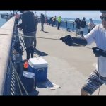 1772041807 maxresdefault infoshare - nz immigration news / 뉴질랜드 이민정보