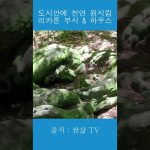 1772043008 maxresdefault infoshare - nz immigration news / 뉴질랜드 이민정보
