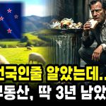 1772103611 maxresdefault infoshare - nz immigration news / 뉴질랜드 이민정보