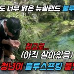 1772190013 maxresdefault infoshare - nz immigration news / 뉴질랜드 이민정보