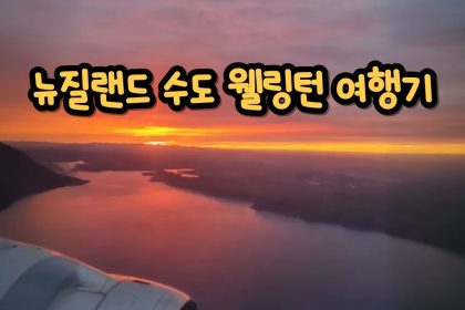 1772440211 maxresdefault infoshare - nz immigration news / 뉴질랜드 이민정보
