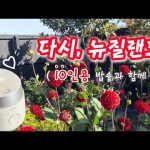 1772619609 hqdefault infoshare - nz immigration news / 뉴질랜드 이민정보