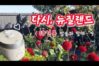 1772619609 hqdefault infoshare - nz immigration news / 뉴질랜드 이민정보