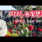 1772646011 hqdefault infoshare - nz immigration news / 뉴질랜드 이민정보