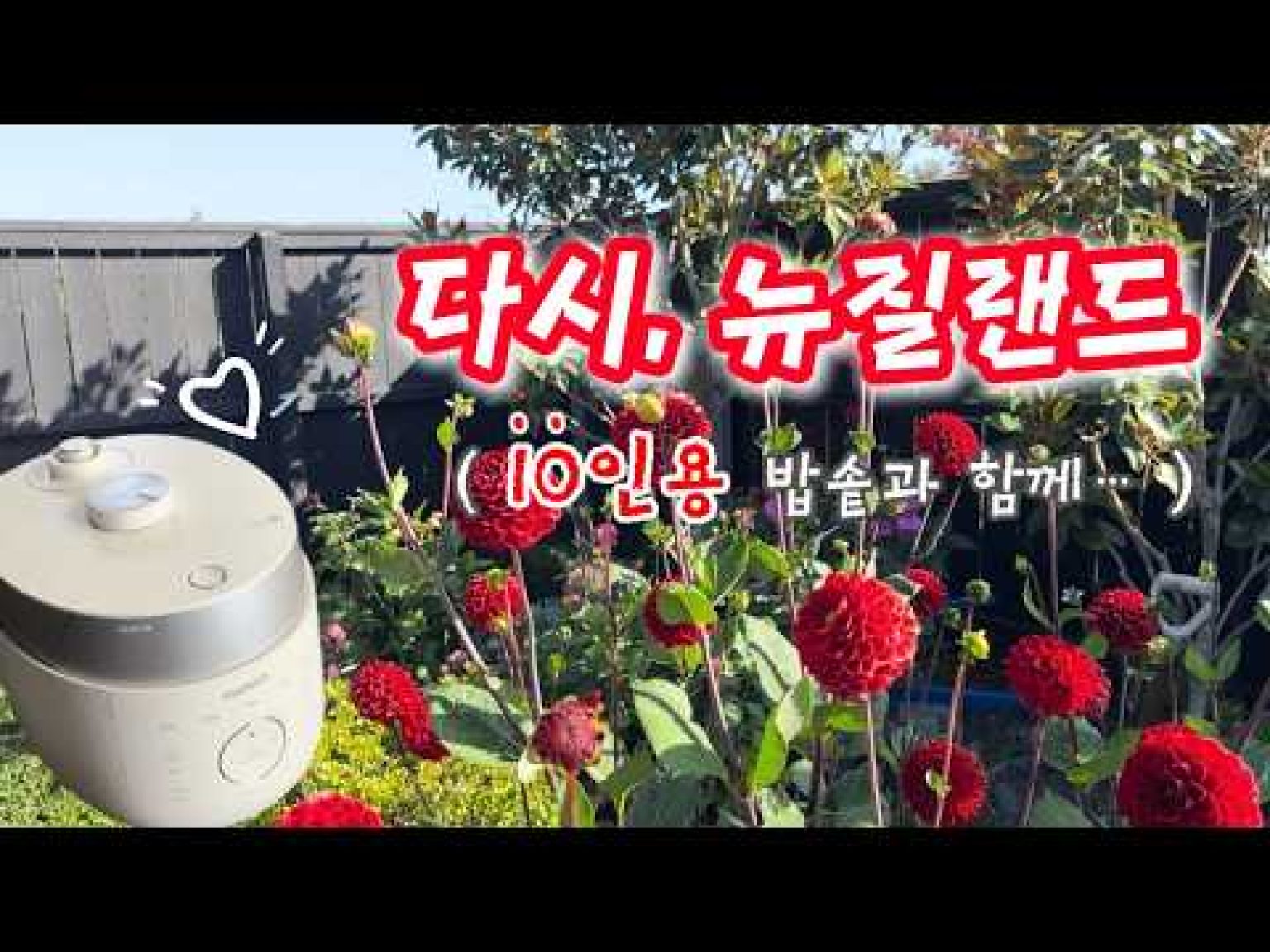 1772646011 hqdefault infoshare - nz immigration news / 뉴질랜드 이민정보
