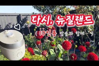 1772646011 hqdefault infoshare - nz immigration news / 뉴질랜드 이민정보