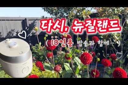 1772646011 hqdefault infoshare - nz immigration news / 뉴질랜드 이민정보