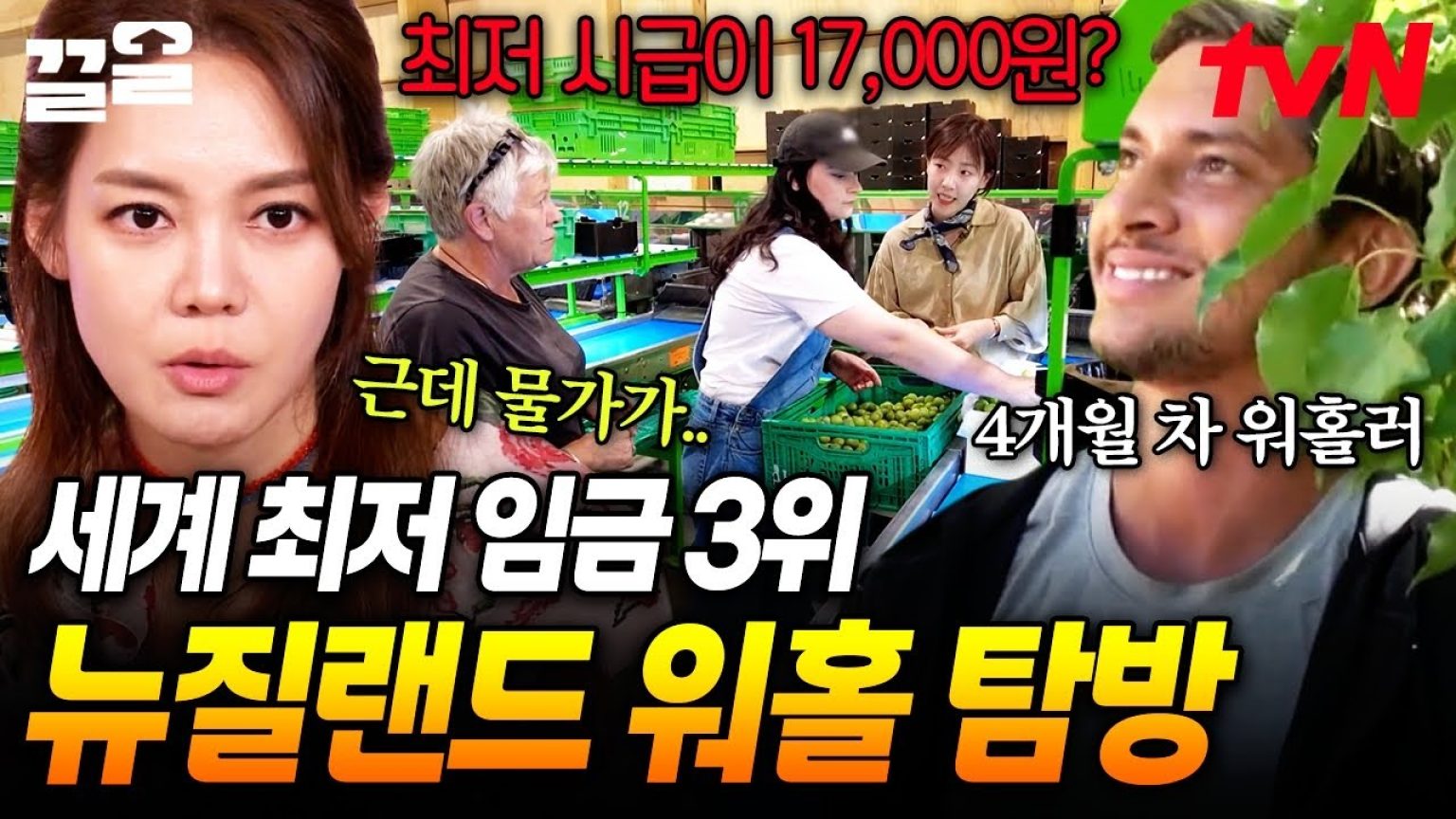 1772700011 maxresdefault infoshare - nz immigration news / 뉴질랜드 이민정보