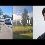 1772705411 hqdefault infoshare - nz immigration news / 뉴질랜드 이민정보
