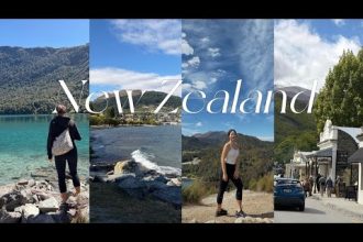 1772912410 hqdefault infoshare - nz immigration news / 뉴질랜드 이민정보