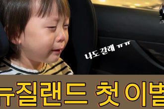 1772972410 maxresdefault infoshare - nz immigration news / 뉴질랜드 이민정보