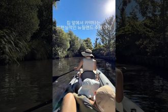 1773040814 maxresdefault infoshare - nz immigration news / 뉴질랜드 이민정보