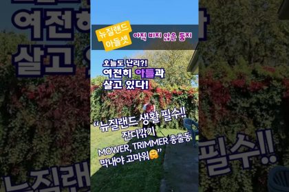 1773064210 maxresdefault infoshare - nz immigration news / 뉴질랜드 이민정보