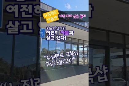1773244211 maxresdefault infoshare - nz immigration news / 뉴질랜드 이민정보