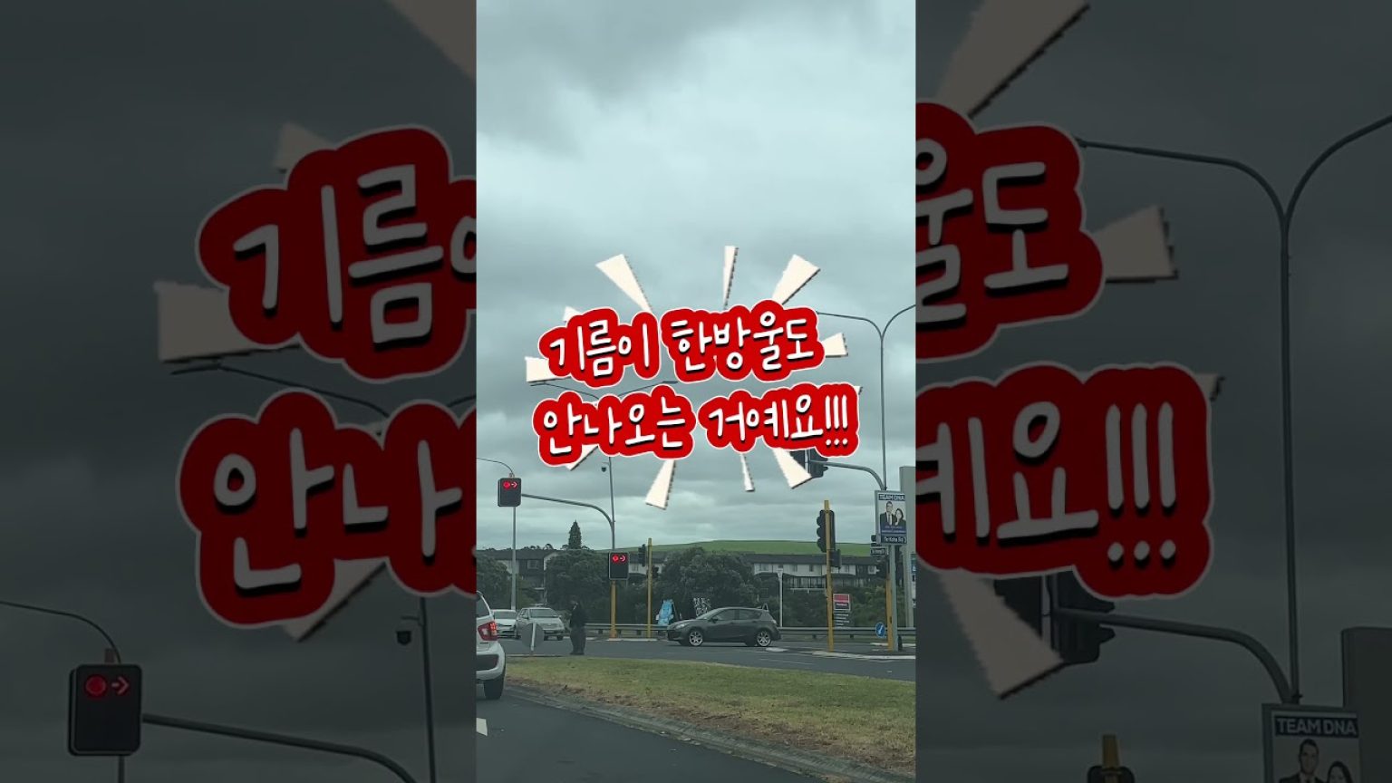 1773315610 maxresdefault infoshare - nz immigration news / 뉴질랜드 이민정보