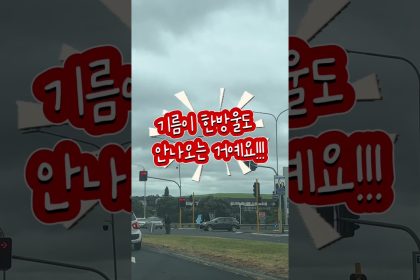 1773315610 maxresdefault infoshare - nz immigration news / 뉴질랜드 이민정보