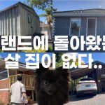 1773385212 maxresdefault infoshare - nz immigration news / 뉴질랜드 이민정보