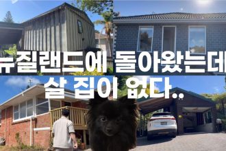 1773385212 maxresdefault infoshare - nz immigration news / 뉴질랜드 이민정보