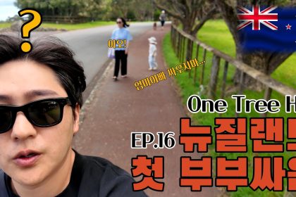 1773473409 maxresdefault infoshare - nz immigration news / 뉴질랜드 이민정보
