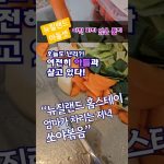 1773733210 maxresdefault infoshare - nz immigration news / 뉴질랜드 이민정보