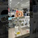 1773826211 hqdefault infoshare - nz immigration news / 뉴질랜드 이민정보