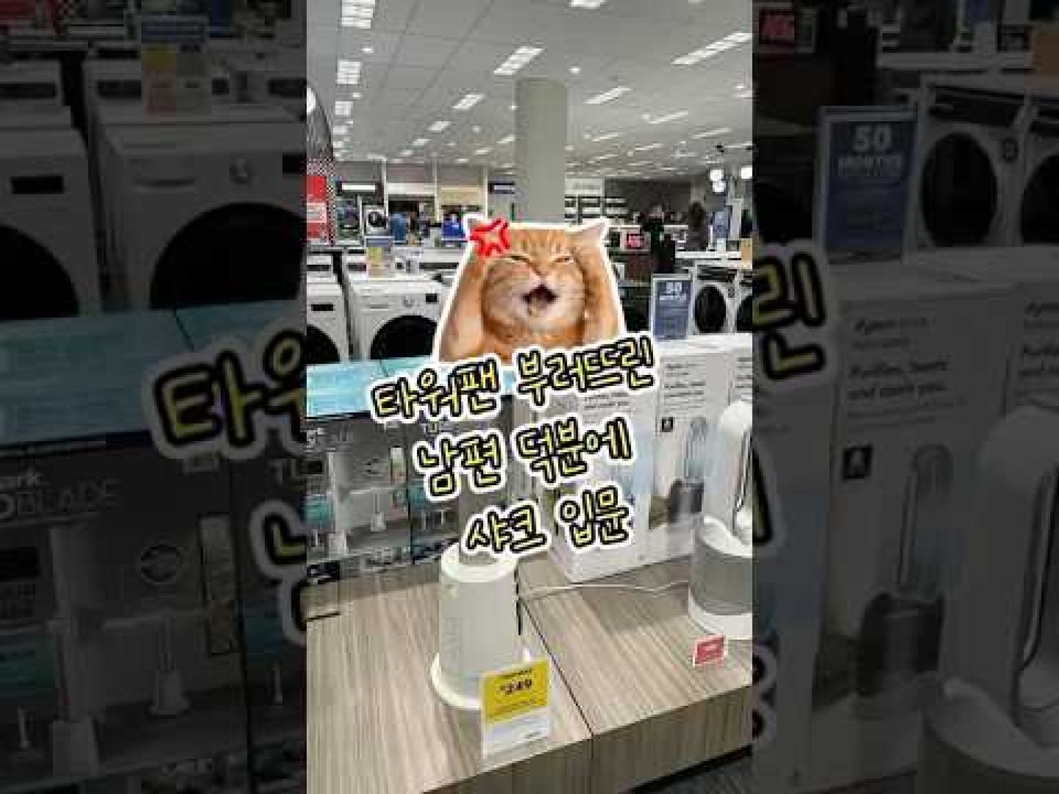 1773826211 hqdefault infoshare - nz immigration news / 뉴질랜드 이민정보