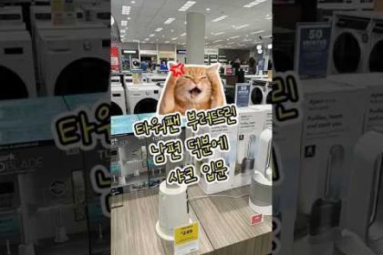 1773826211 hqdefault infoshare - nz immigration news / 뉴질랜드 이민정보