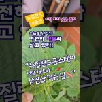 1773904212 maxresdefault infoshare - nz immigration news / 뉴질랜드 이민정보