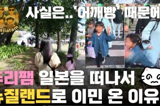 1774103412 maxresdefault infoshare - nz immigration news / 뉴질랜드 이민정보