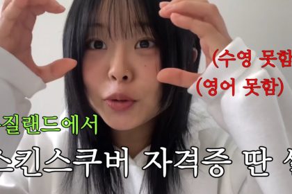 1774184410 maxresdefault infoshare - nz immigration news / 뉴질랜드 이민정보