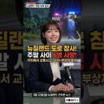 1774197610 maxresdefault infoshare - nz immigration news / 뉴질랜드 이민정보