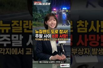 1774197610 maxresdefault infoshare - nz immigration news / 뉴질랜드 이민정보