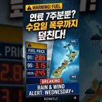1774201808 maxresdefault infoshare - nz immigration news / 뉴질랜드 이민정보