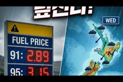 1774203009 hqdefault infoshare - nz immigration news / 뉴질랜드 이민정보