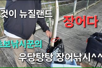 1774270811 maxresdefault infoshare - nz immigration news / 뉴질랜드 이민정보