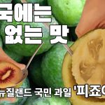 1774857017 maxresdefault infoshare - nz immigration news / 뉴질랜드 이민정보